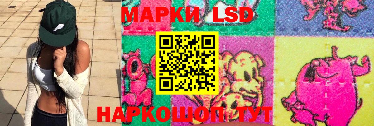 LSD-25 экстази ecstasy  Вход с VPN  OMG tor  Заинск  LSD-25 экстази ecstasy 