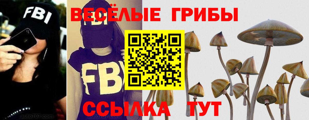 Псилоцибиновые грибы MAGIC MUSHROOMS  Вход с VPN  Заинск 